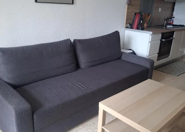 Appartement Cap D'agde Du Mole